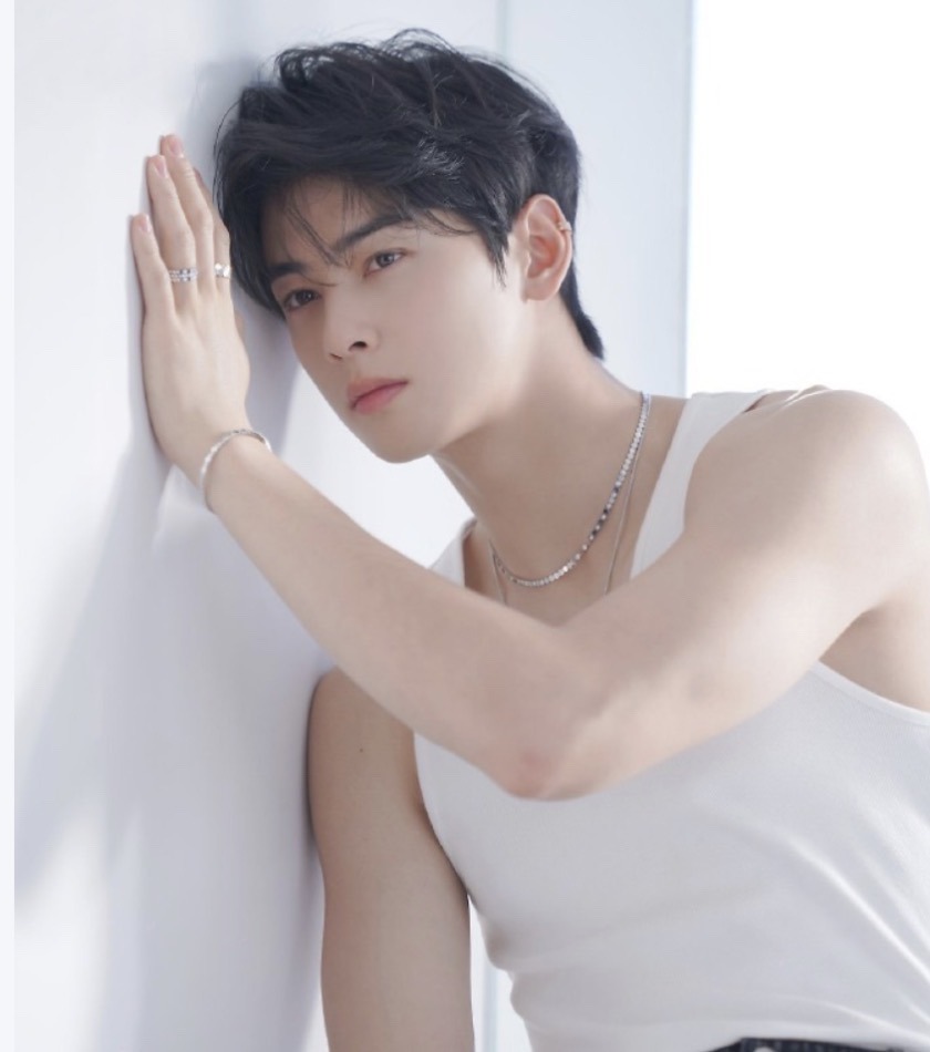 Cha Eun-woo